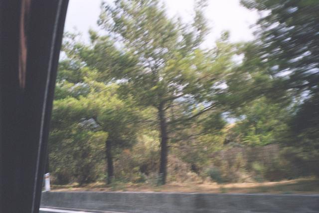 024_14-126461.jpg